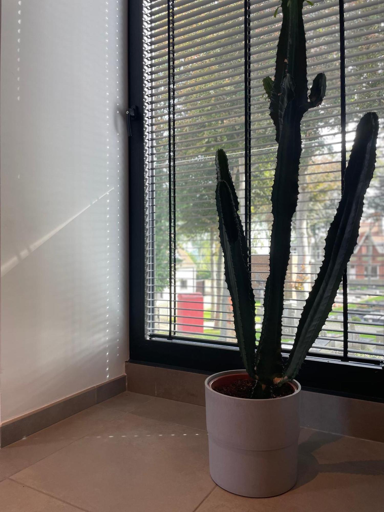 Appartamento Logie De Terp Knokke-Heist Esterno foto